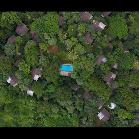 Letstay Adithya Nature Resort & Spa Vythiri Exterior photo