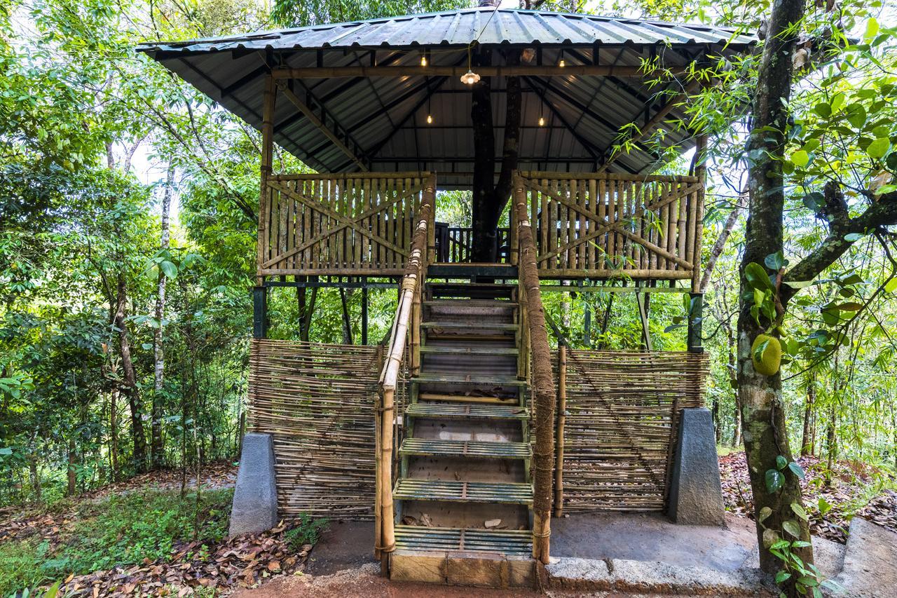 Letstay Adithya Nature Resort & Spa Vythiri Exterior photo